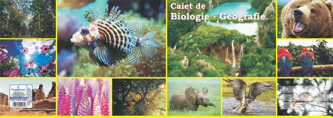 Caiet geografie-biologie 17×24 cm, 24 file — detaliu 2