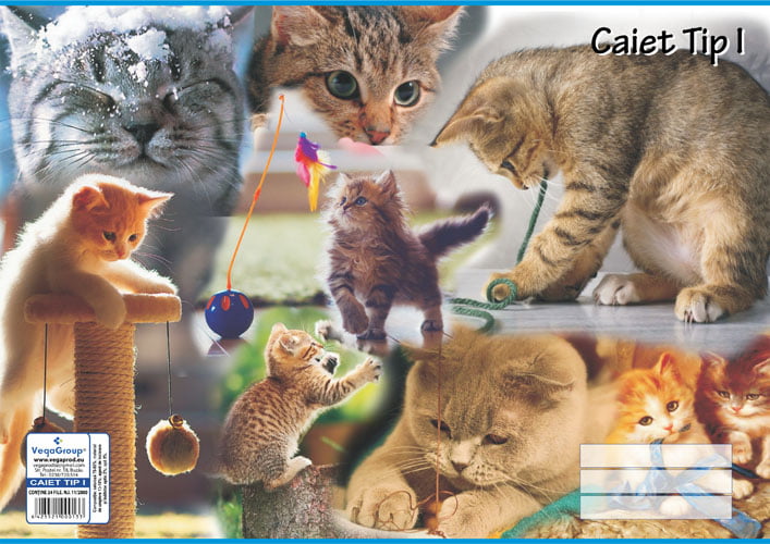 Caiet tip I A5, 16 file — Tipografia Vega