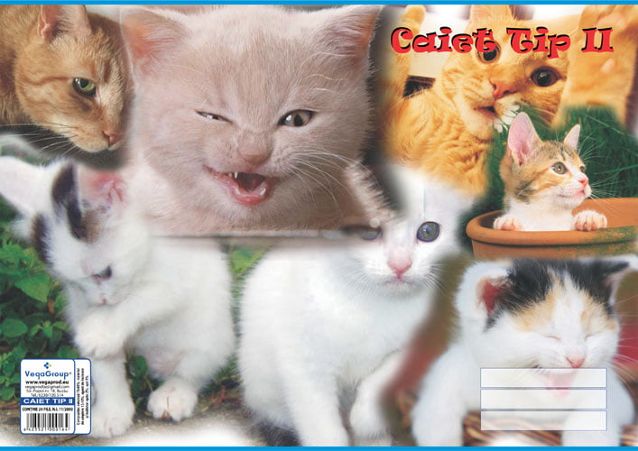 Caiet tip II A5, 16 file — Tipografia Vega