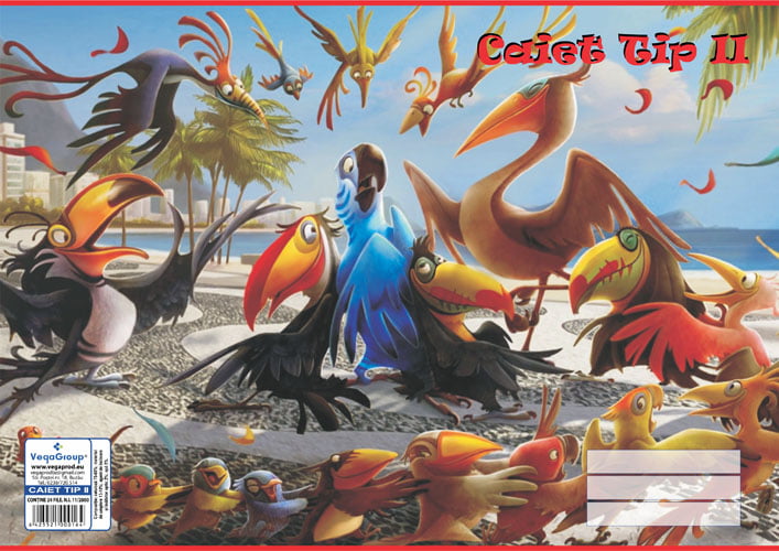 Caiet tip II A5, 16 file — detaliu 2