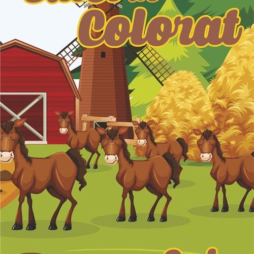 caiet colorat a5