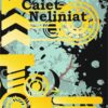 Caiet Neliniat A5