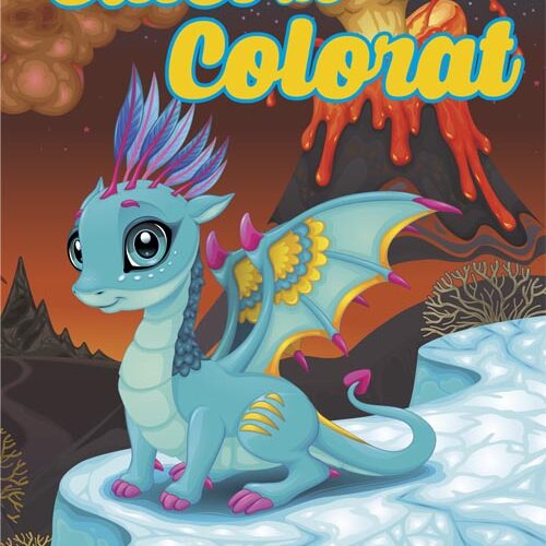 caiet colorat a5
