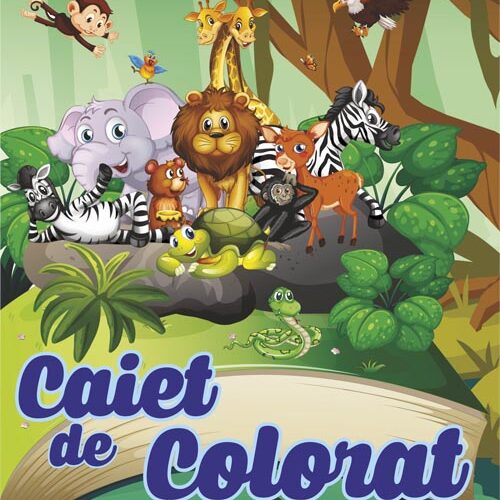 caiet colorat a5