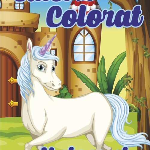 caiet colorat a5