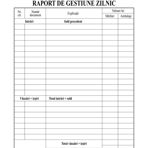 raport gestiune zilnic